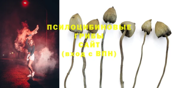 молекула духа Абдулино
