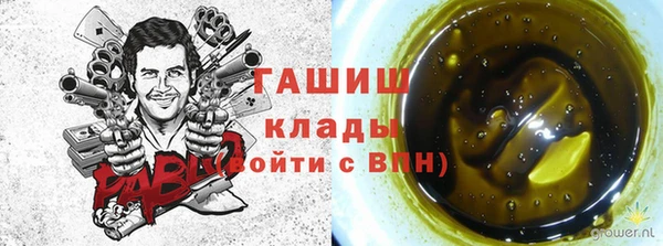 спиды Абаза