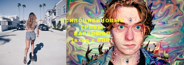 спиды Абаза