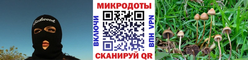где купить наркоту мега как зайти Псилоцибиновые грибы мухоморы Алапаевск