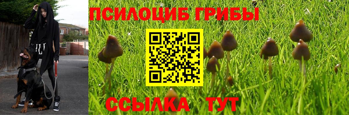 Псилоцибиновые грибы мухоморы  Вход с VPN  Алапаевск  Галлюциногенные грибы Magic Shrooms 